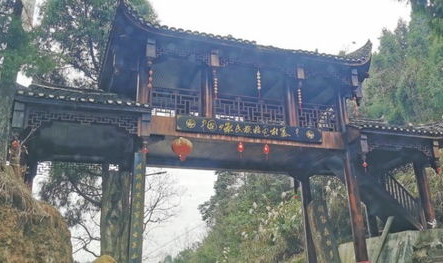新寨网红,揭秘乡村新势力崛起的秘密